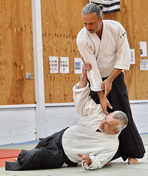  Aïkido traditionnel Montpellier Stéphane Villepontoux professeur du dojo de La Rauze