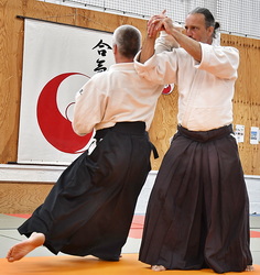  Aïkido traditionnel Montpellier Stéphane Villepontoux professeur du dojo de La Rauze