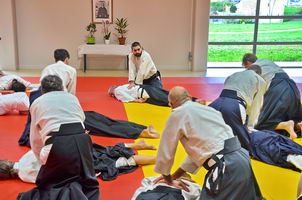  Aïkido 34  Doin shiatsu seifukus